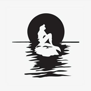 Meet your Posher, Luz